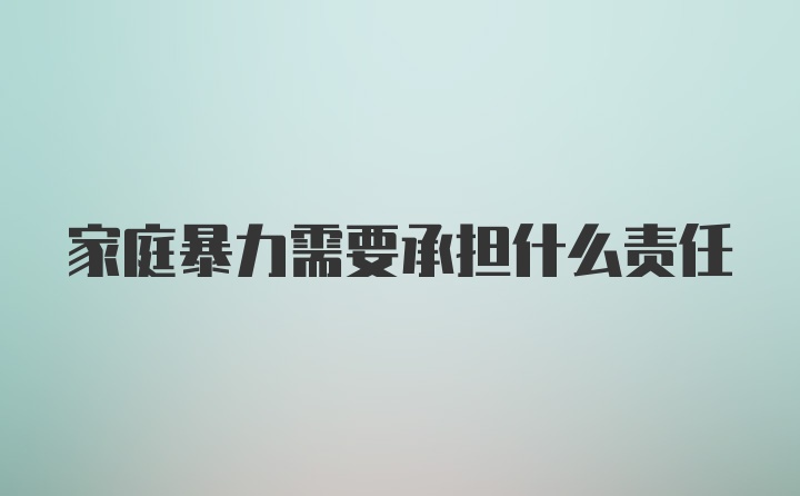 家庭暴力需要承担什么责任