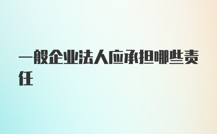 一般企业法人应承担哪些责任