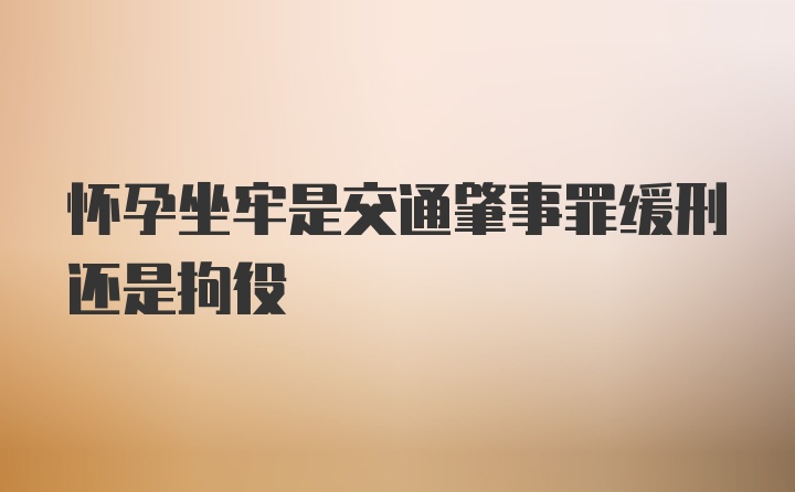 怀孕坐牢是交通肇事罪缓刑还是拘役