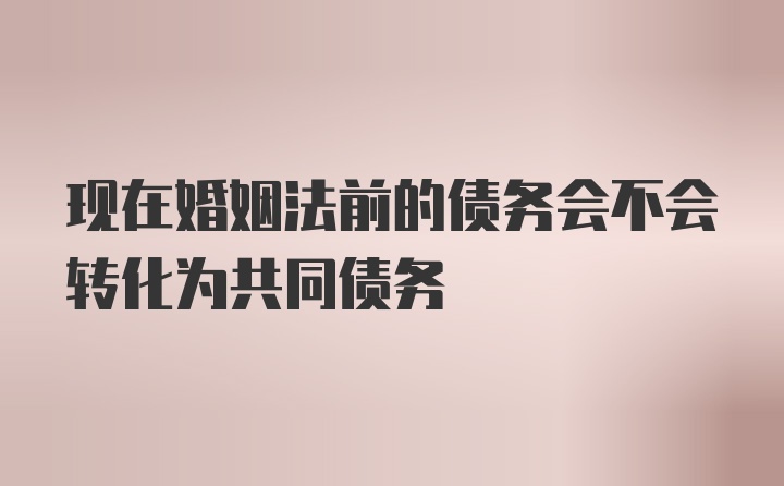 现在婚姻法前的债务会不会转化为共同债务