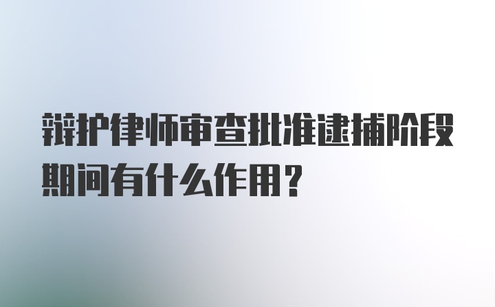 辩护律师审查批准逮捕阶段期间有什么作用?