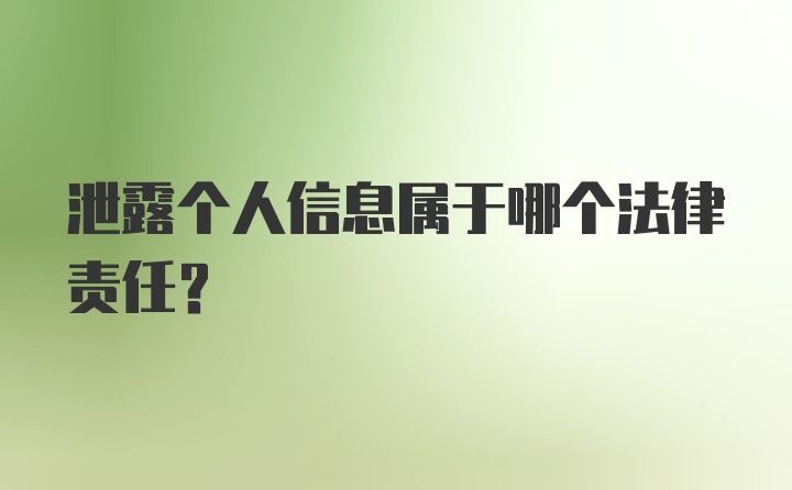 泄露个人信息属于哪个法律责任？