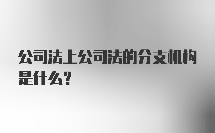 公司法上公司法的分支机构是什么？