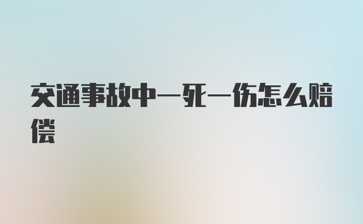 交通事故中一死一伤怎么赔偿