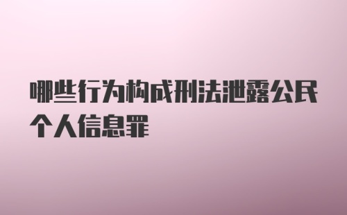 哪些行为构成刑法泄露公民个人信息罪