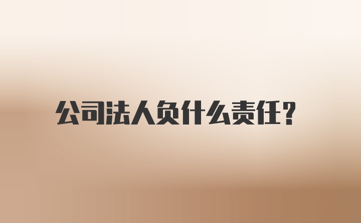 公司法人负什么责任？