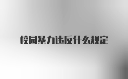 校园暴力违反什么规定