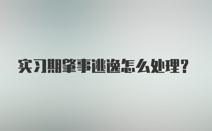 实习期肇事逃逸怎么处理？