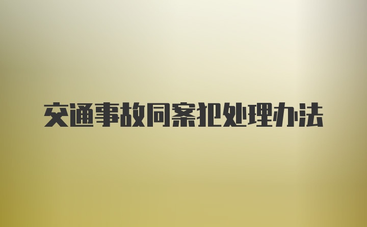 交通事故同案犯处理办法