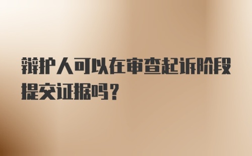 辩护人可以在审查起诉阶段提交证据吗？