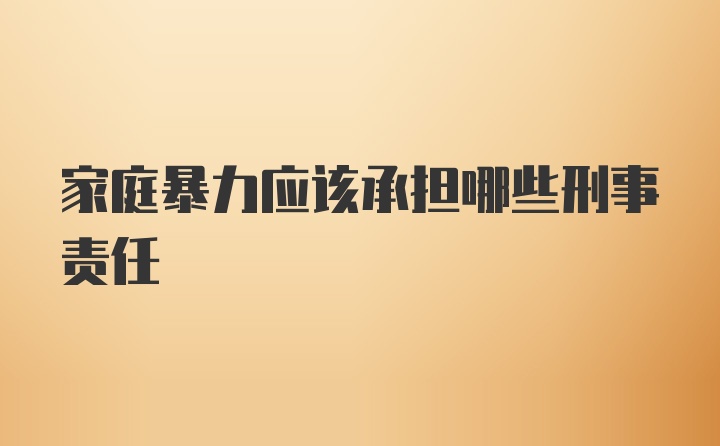 家庭暴力应该承担哪些刑事责任