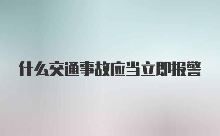 什么交通事故应当立即报警