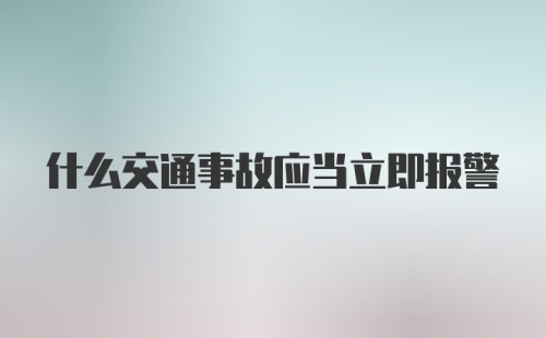 什么交通事故应当立即报警