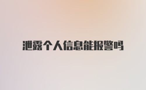 泄露个人信息能报警吗