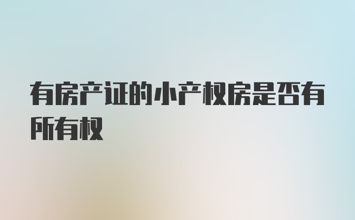 有房产证的小产权房是否有所有权