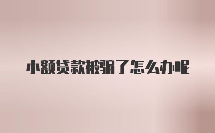 小额贷款被骗了怎么办呢