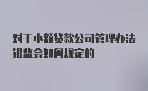 对于小额贷款公司管理办法银监会如何规定的