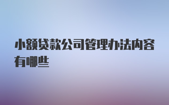 小额贷款公司管理办法内容有哪些