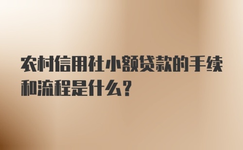 农村信用社小额贷款的手续和流程是什么？