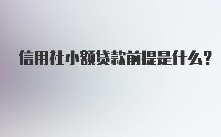 信用社小额贷款前提是什么？