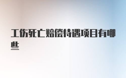 工伤死亡赔偿待遇项目有哪些