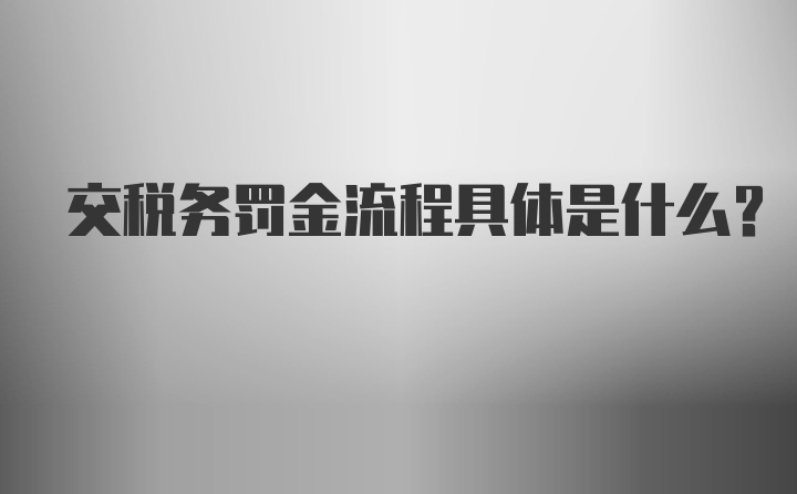 交税务罚金流程具体是什么？