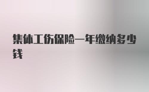 集体工伤保险一年缴纳多少钱