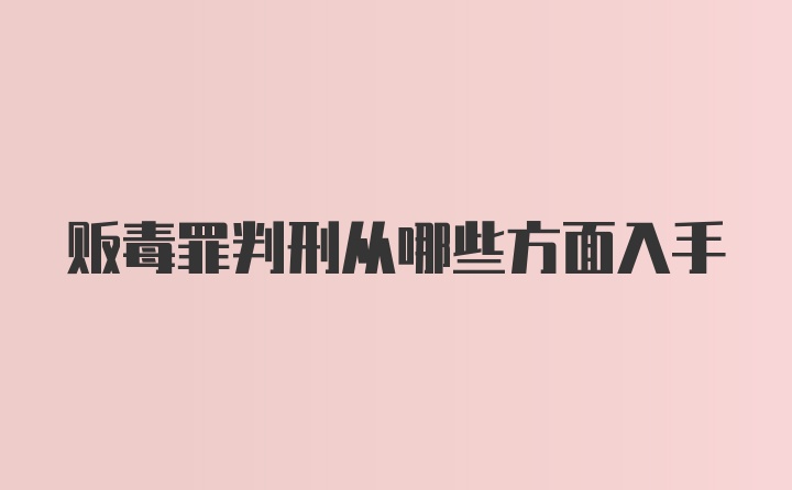 贩毒罪判刑从哪些方面入手