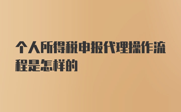 个人所得税申报代理操作流程是怎样的