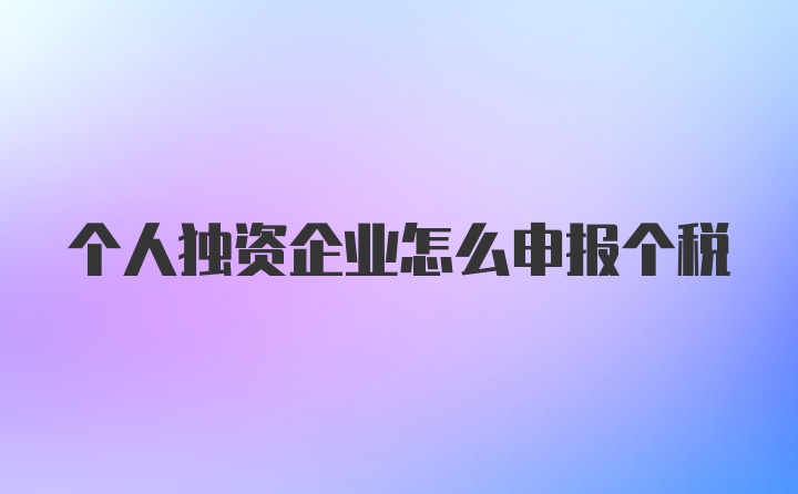 个人独资企业怎么申报个税