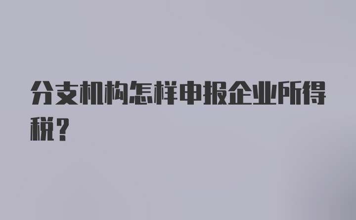 分支机构怎样申报企业所得税？