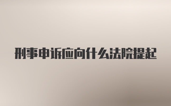 刑事申诉应向什么法院提起