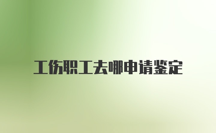 工伤职工去哪申请鉴定