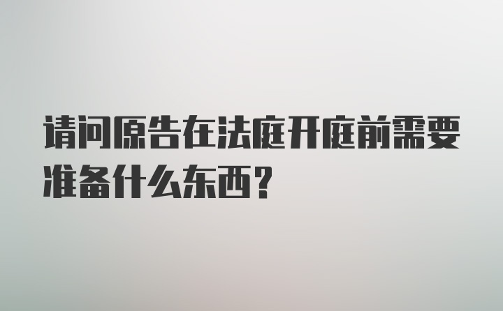 请问原告在法庭开庭前需要准备什么东西？