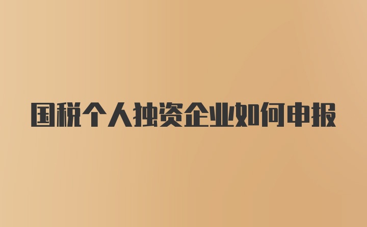 国税个人独资企业如何申报