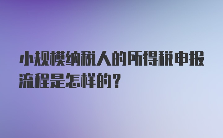 小规模纳税人的所得税申报流程是怎样的?