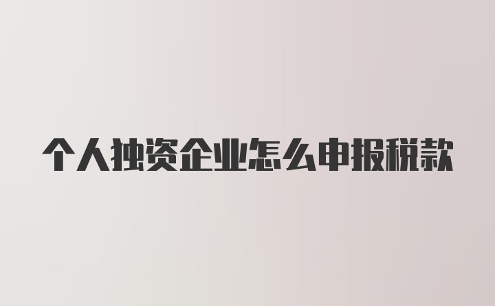 个人独资企业怎么申报税款