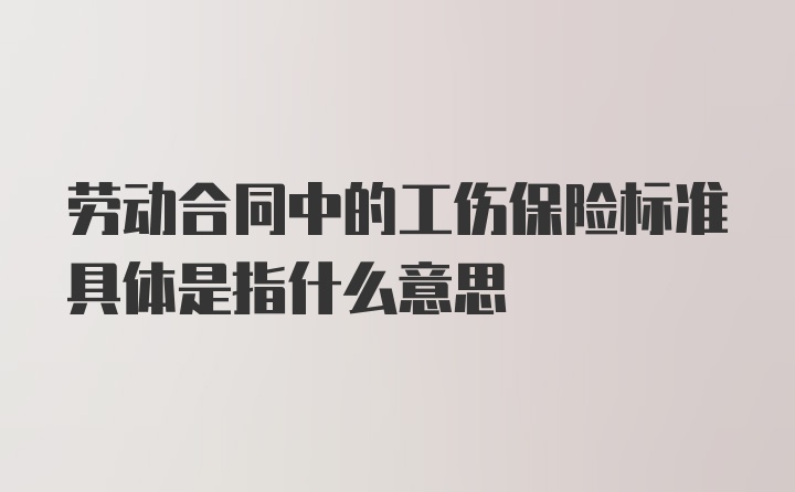 劳动合同中的工伤保险标准具体是指什么意思