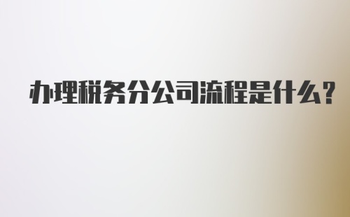 办理税务分公司流程是什么？