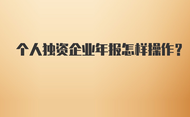 个人独资企业年报怎样操作？