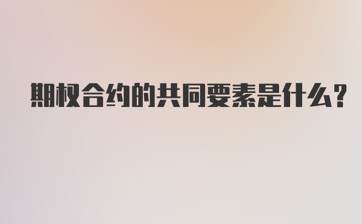 期权合约的共同要素是什么?