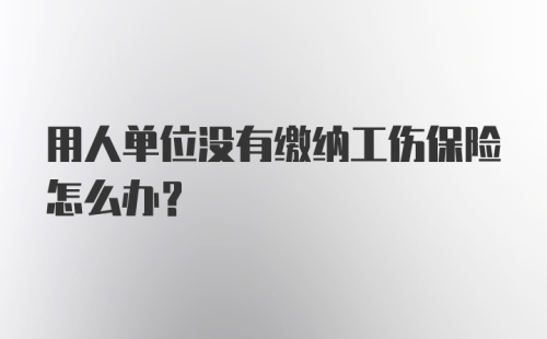 用人单位没有缴纳工伤保险怎么办？