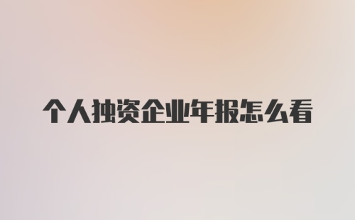 个人独资企业年报怎么看