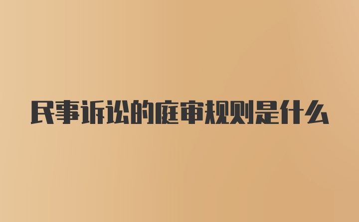 民事诉讼的庭审规则是什么