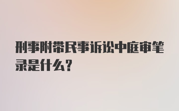 刑事附带民事诉讼中庭审笔录是什么？