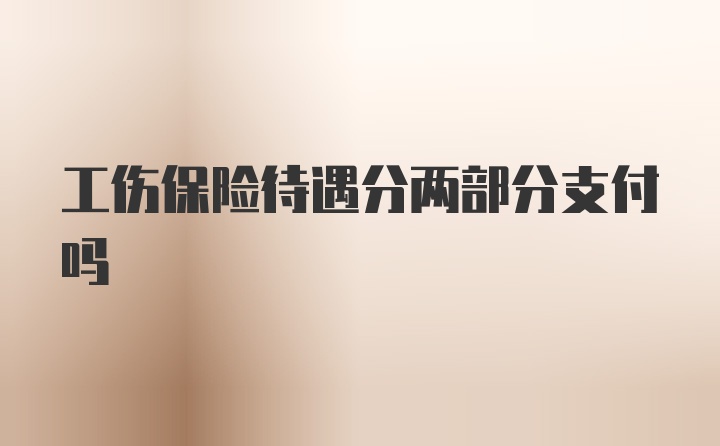 工伤保险待遇分两部分支付吗