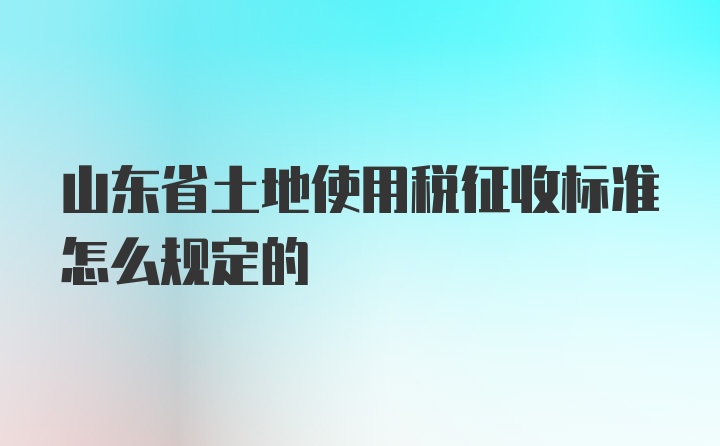 山东省土地使用税征收标准怎么规定的