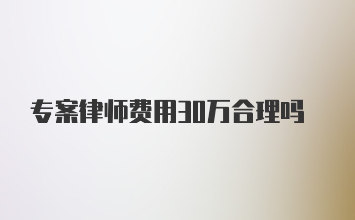 专案律师费用30万合理吗