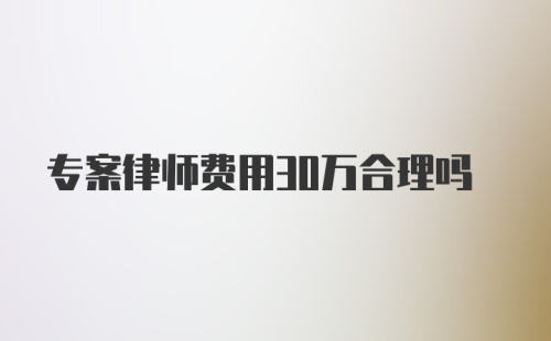 专案律师费用30万合理吗