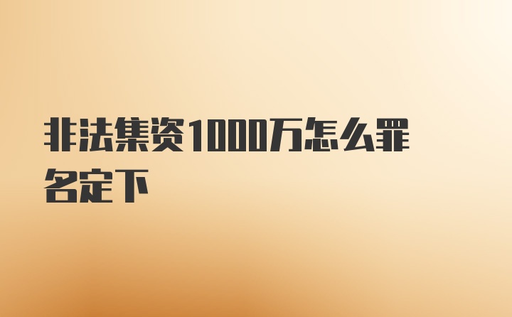 非法集资1000万怎么罪名定下